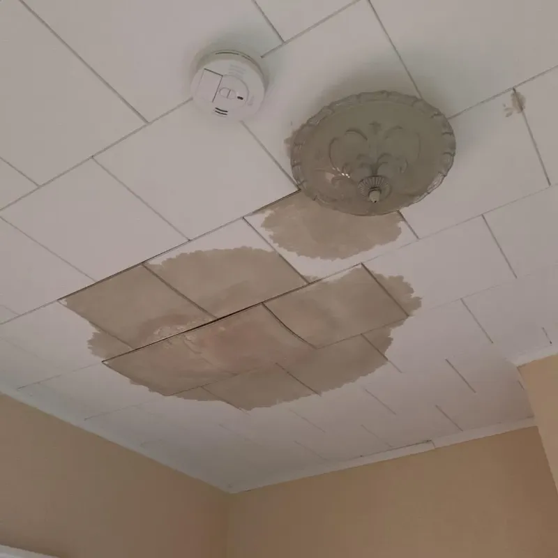 Ceiling Water Damage Repair in Yardville, NJ